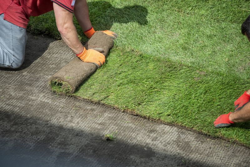 Artificial Turf Repair